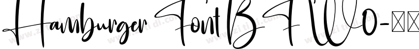 Hamburger Font BF W0字体转换